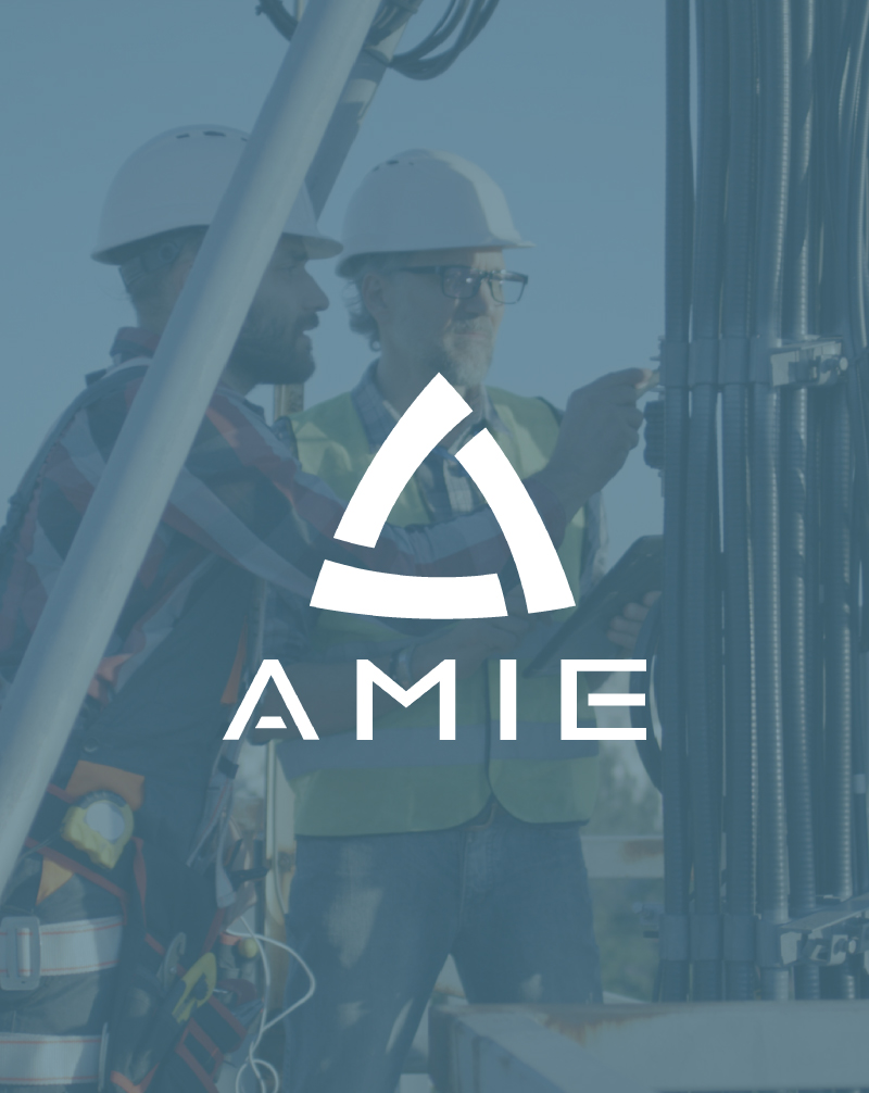 Présentation identité visuelle AMIE