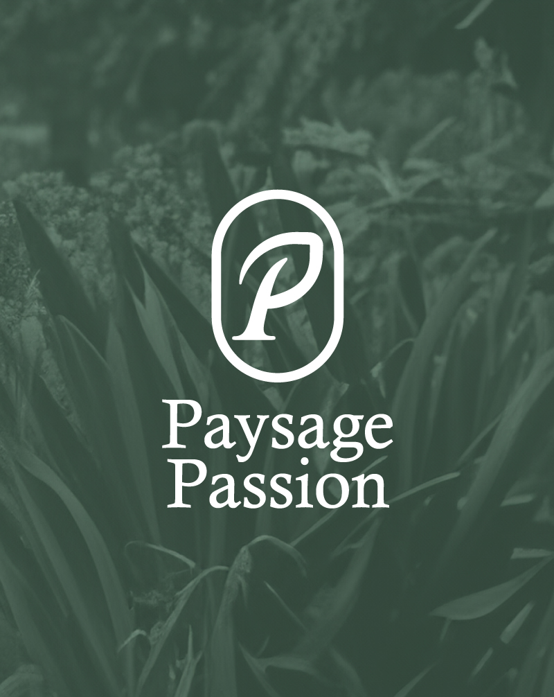 Présentation identité visuelle Paysage Passion